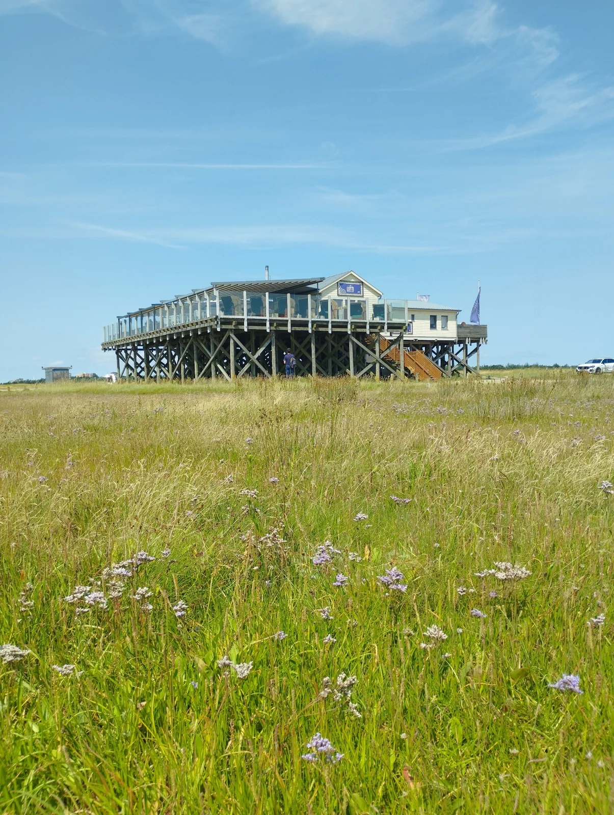 Pfahlbau mit Terrasse und gekreuzten Holzstützen hinter einer blühenden Küstenwiese in St. Peter-Ording