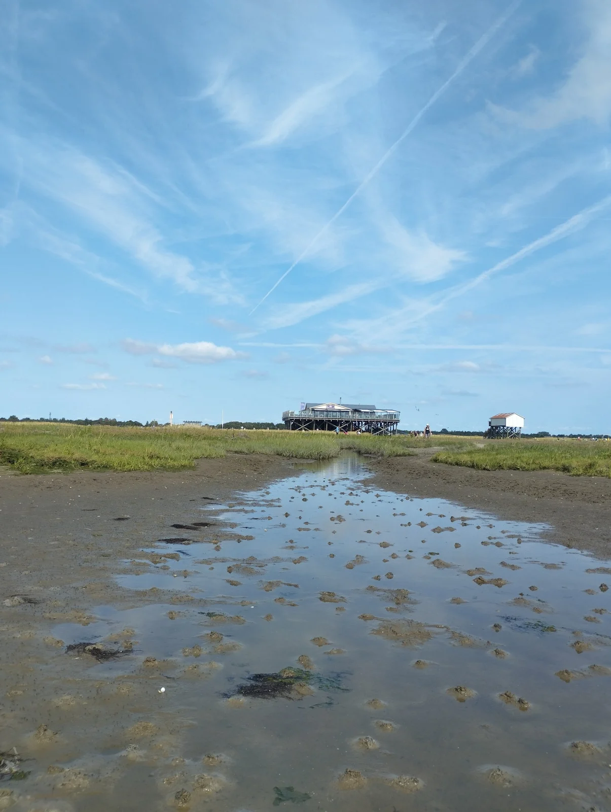 Wasserflächen im Watt zwischen grünen Küstenwiesen mit einem Pfahlbau in der Ferne in St. Peter-Ording